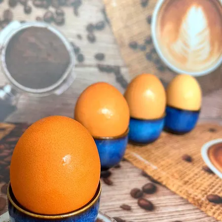 Lidmansky 3 - Tinyhomes Klagenfurt * Klagenfurt am Wörthersee