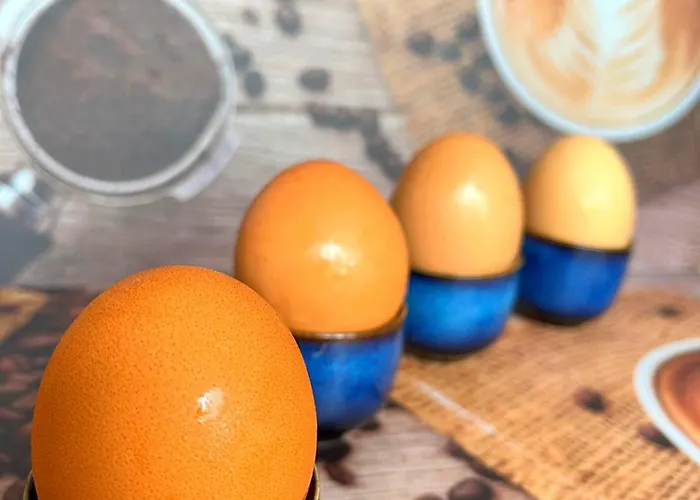 Lidmansky 3 - Tinyhomes Klagenfurt * Klagenfurt am Woerthersee